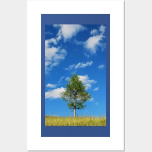Tree with Cumulus Fractus Posters and Art